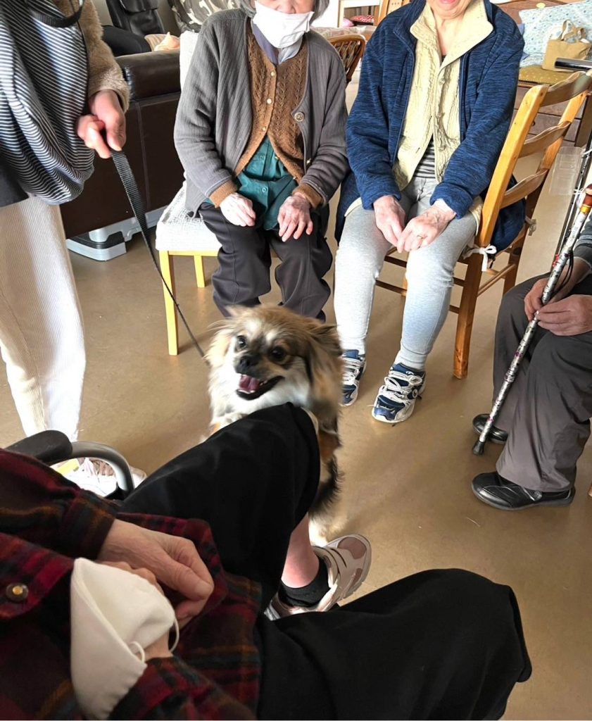 画像：ペットセラピー